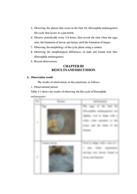 Solution Genetics Lab Report On The Fruit Flies Life Cycle Drosophila