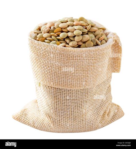 Raw Organic Green Lentils Are In The Sack Green Lentils Grains