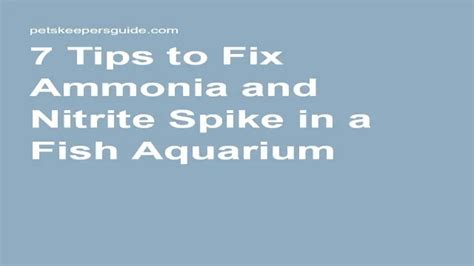 How To Fix Ammonia Spike In Aquarium Tips To Remove Excess Ammonia