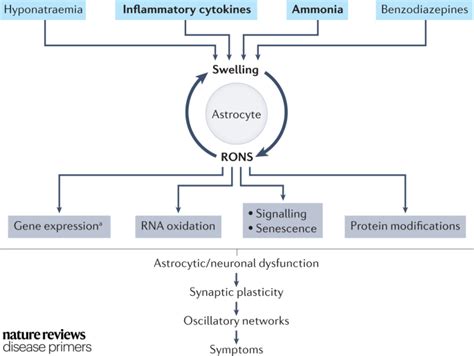 Nature Reviews Disease Primers On Twitter Precipitating Factors For