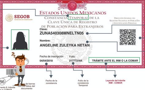 Tramita La Curp Para Extranjeros En M Xico Conexi N Migrante