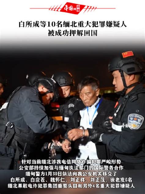 白所成等10名缅北重大犯罪嫌疑人被成功押解回国！ 缅北 新浪新闻