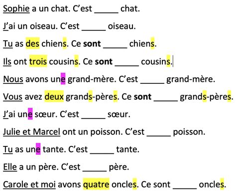 Adjectifs Possessifs Diagram Quizlet