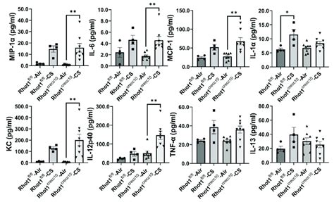 Differential Expression Of Cytokines In Epithelial Cell Specific Rhot