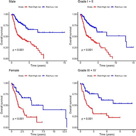 Kaplan Meier Analysis Of Os For Hnscc Patients Patients Were