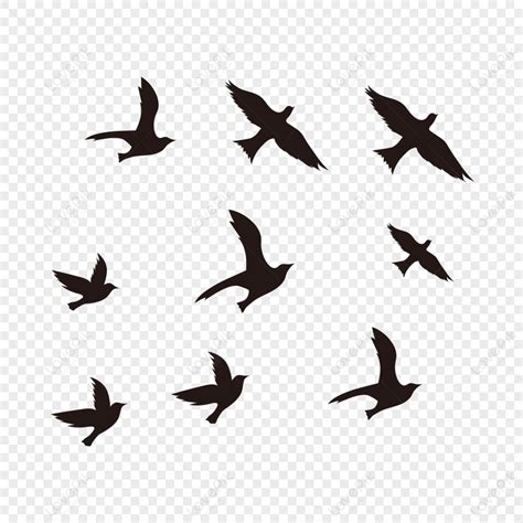 Black Flying Bird PNG Images With Transparent Background | Free Download On Lovepik