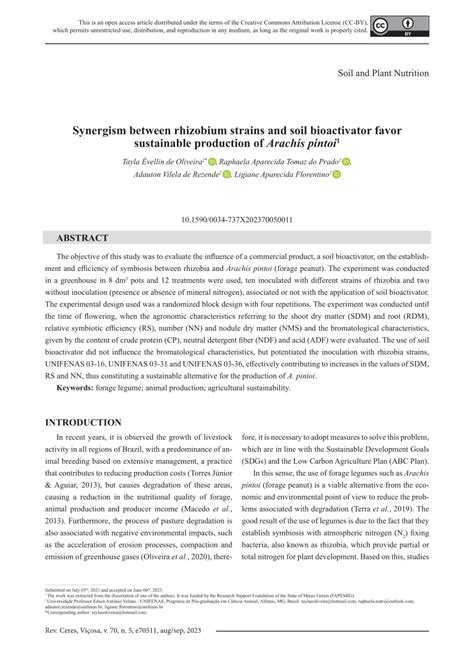 Pdf Synergism Between Rhizobium Strains And Soil Bioactivator Favor