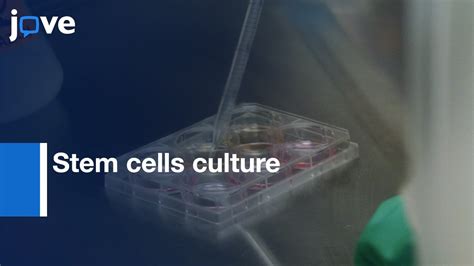 Human Pluripotent And Neural Stem Cells Culture Protocol Preview Youtube