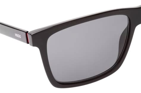 Buy Hugo Boss Hg 1013s Oitir Sunglasses