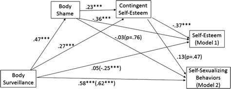 Path Coefficients For The Multiple Mediation Models In Which The