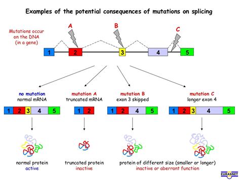 Rna splicing