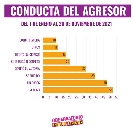 AHORA QUE SI NOS VEN Informes 229 Femicidios En 2021