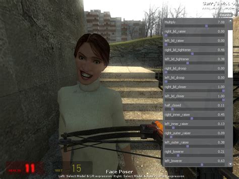 Faceposer Controls image - Garrys Mod for Half-Life 2 - ModDB