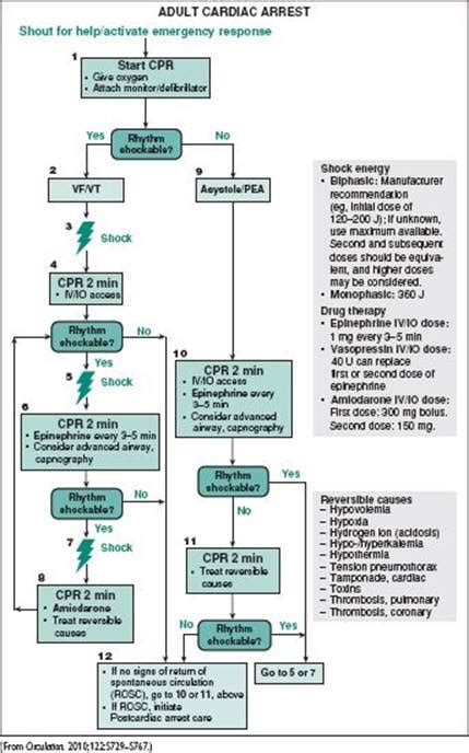 Acls Algorithms Pocket Obstetrics And Gynecology