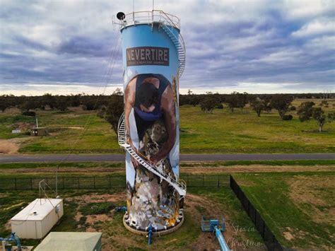 Warren Shire Public Art Murals | NSW Holidays & Accommodation, Things ...