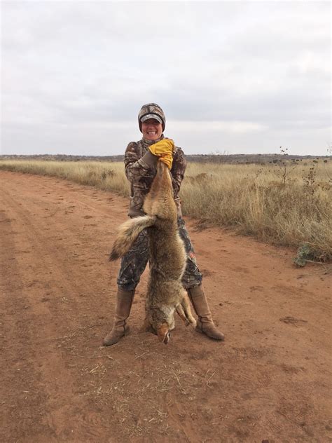 Hunting Seasons: What and When Are They?