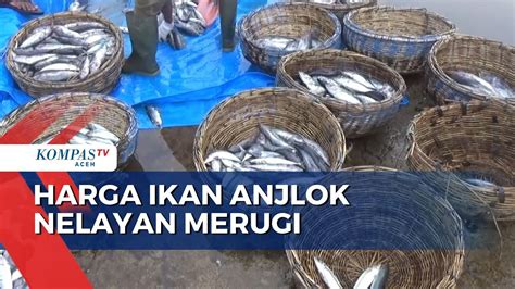 Harga Ikan Anjlok Nelayan Merugi YouTube