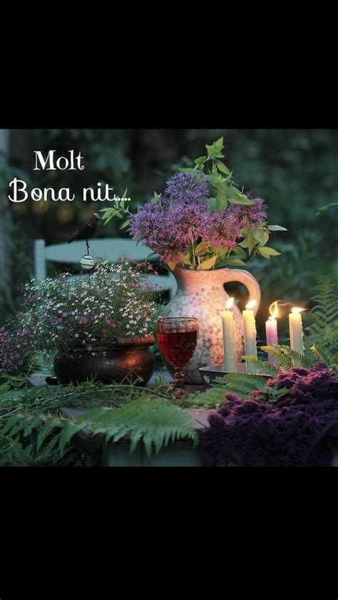 Mejores Im Genes De Bona Nit En Bona Saludos Good Night