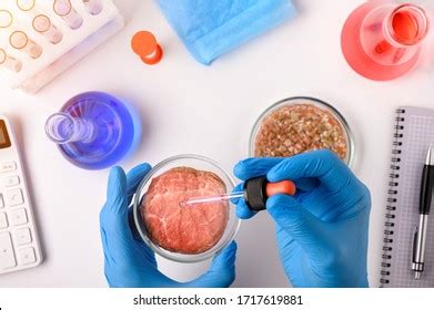 1,043 Synthetic meat Images, Stock Photos & Vectors | Shutterstock