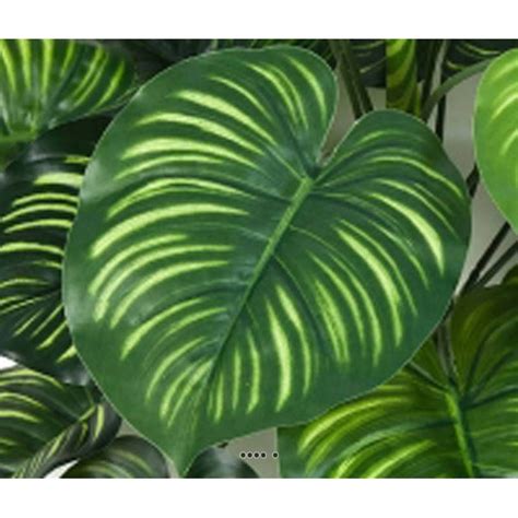 Calathea Artificiel En Piquet Feuilles H Cm Vert Fleurs Et