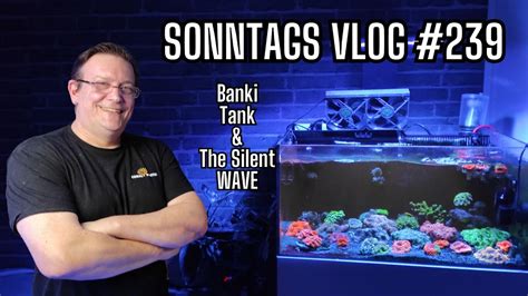 Der Meerwasseraquaristik Sonntags Vlog EP 239 Banki Tank The Silent