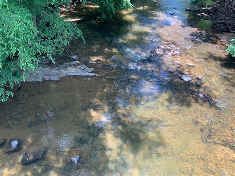 Digital updates will track who's in jail burke county north carolina 12