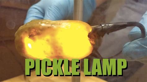 The Pickle Lamp Making A Light Bulb Out Of A Pickle Youtube