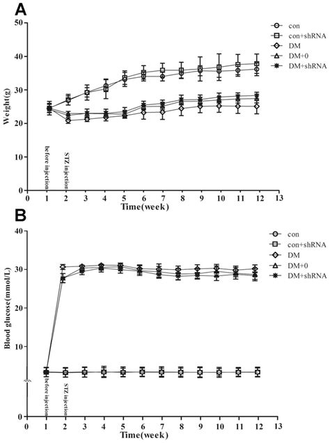 The Body Weight A And Blood Glucose Levels B Of C57bl6 Mice Were