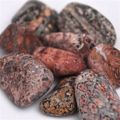 Leopard Skin Jasper