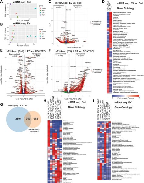 Identification Of State Specific Proteomic And Transcriptomic Signatures Of Microglia Derived