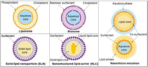 Figure 2 From Application Of Lipid Based Nanocarriers For