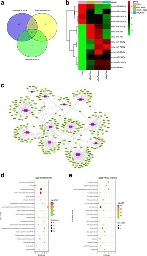 Differentially Expressed Mirna Profiling And Bioinformatic Analysis