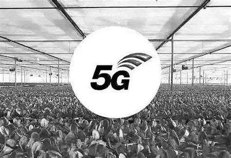 5g﹢数字乡村展现蓬勃生命力农业