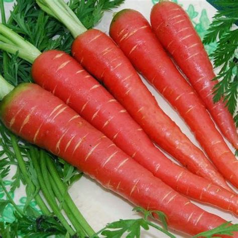 Carrot Benefits Urdu Gajar Ke Fawaid Carrot Juice Gajar ~ Benefits In ...