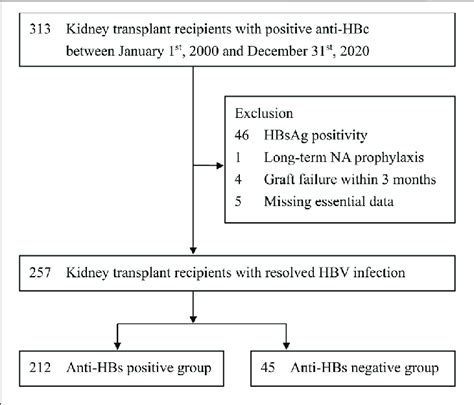 | Selection of study subjects. Anti-HBc, antibody to hepatitis B core ...