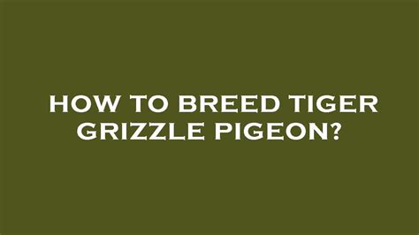 How To Breed Tiger Grizzle Pigeon YouTube