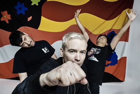 Review: The Avalanches, 'Wildflower'