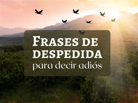 Frases Para Despedirse Parte Frases De Despedida Frases De