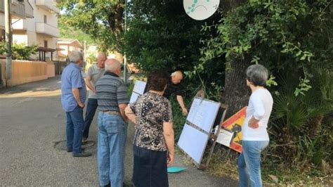 Petizione Contro L Abbattimento Delle Querce In Via Delle Fornaci A Pescara