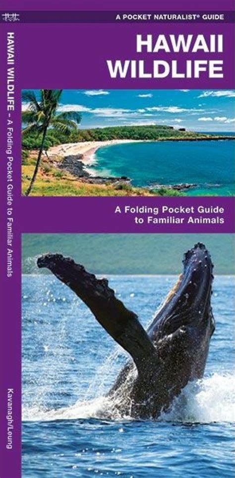 Hawaii Wildlife: A Folding Pocket Guide to Familiar Species | NHBS ...