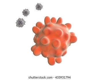 99 Apoptotic Images, Stock Photos & Vectors | Shutterstock