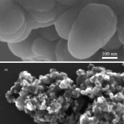 Sem Images Of A Polypyrrole And B Polypyrrole Ito Nanocomposites