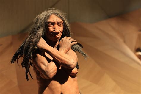 50 Surprising Neanderthal Facts About These Extinct Humans