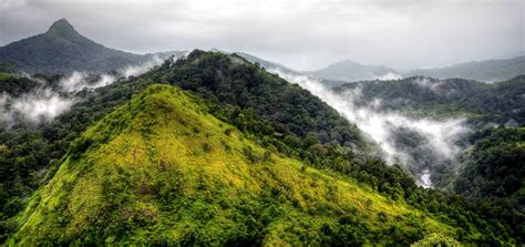 Silent Valley National Park | Kerala Tourim Guide | Cool places to visit, National parks, Best ...