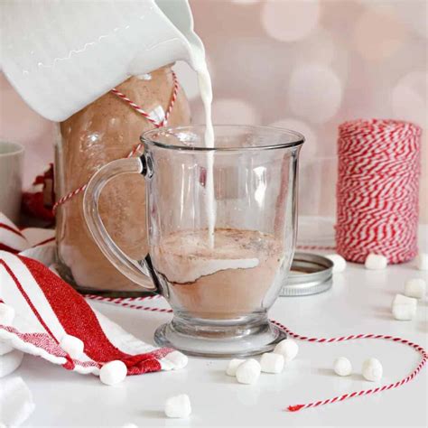 Homemade Hot Cocoa Mix - Stress Baking