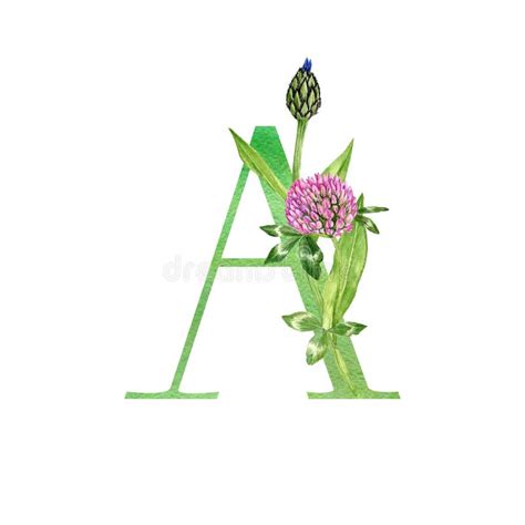 Waterkleurige Letter A Met Bloemen Stock Illustratie Illustration Of