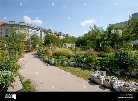 Peaceful Gardens In Berlin’s Suburbs