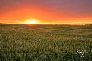 Skyglow | Goddard, Kansas | Mickey Shannon Photography