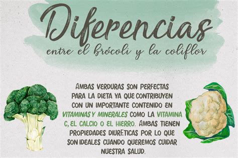 Las Diferencias Entre El Brócoli Y La Coliflor