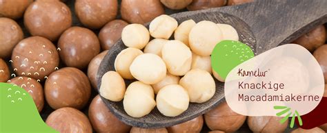 Kamelur Kg Macadamian Sse Natur Ganze Macadamia N Sse Ohne Schale